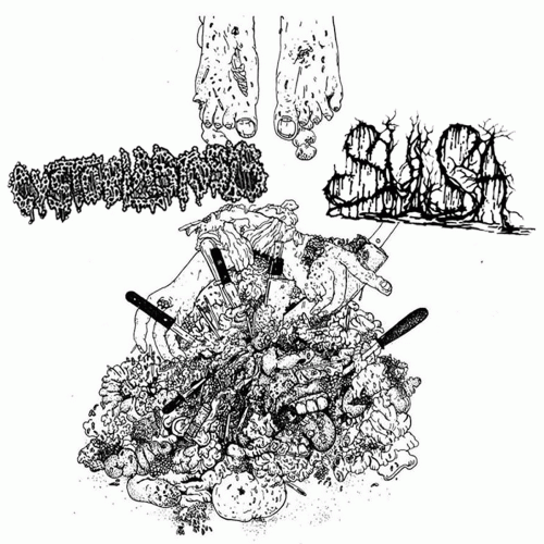 Cystoblastosis : Cystoblastosis - Sulsa